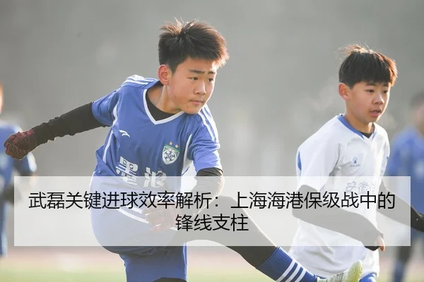 wu-lei-guan-jian-jin-qiu-xiao-lv-jie-xi-shang-hai-hai-gang-bao-ji-zhan-zhong-de-feng-xian-zhi-zhu-3-504.jpg