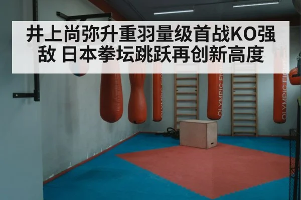井上尚弥升重羽量级首战KO强敌 日本拳坛跳跃再创新高度